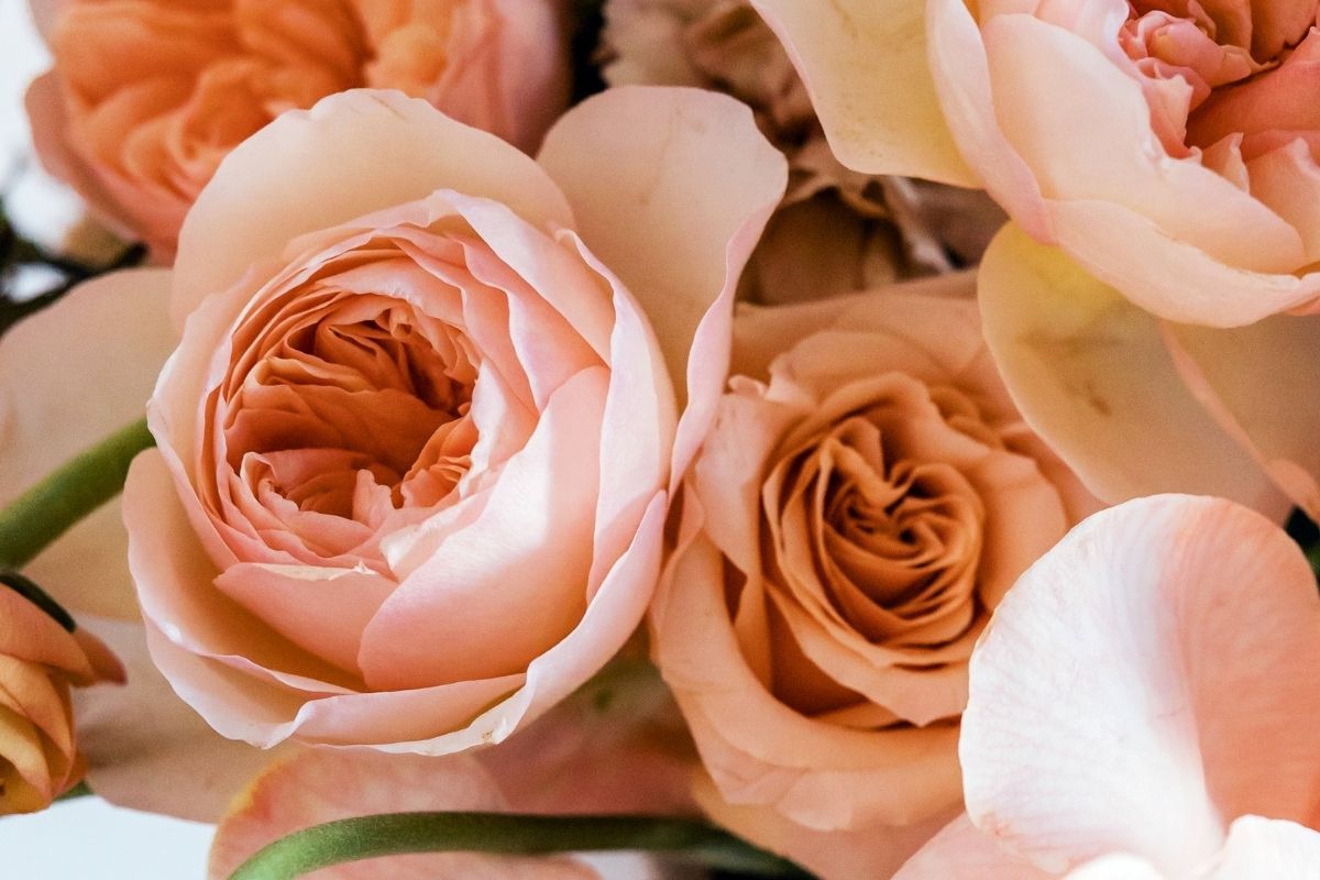 La storia del fiorista Fiori e Stili a Savona